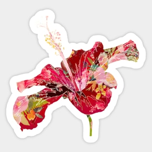 PixDezines Hibicus, red collage Sticker